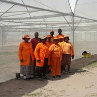 Partnership for Tunnel Farm