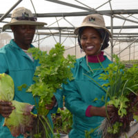 Pedi Agriculture Academy – One year on